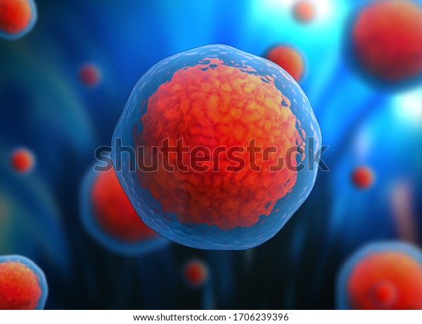 3d stem cell. nucleolus, nucleus,\
nucleus of the eukaryotic cell. human body\
cell.\
