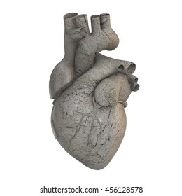 Anatomical Heart Rock