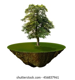 3d Tree For CG Synthesis With Ground Isolated White Background