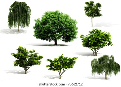 3d tree pack - render on white background