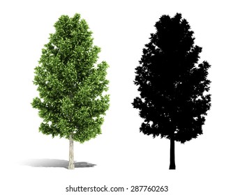 3d Tree Render On White Background 스톡 일러스트 287760263 | Shutterstock