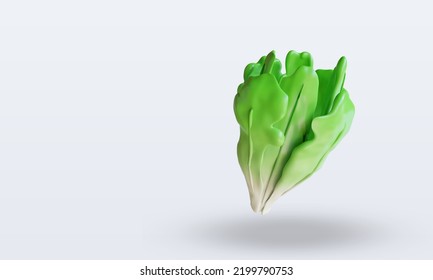 3d Vegetable Letuce rendering top view