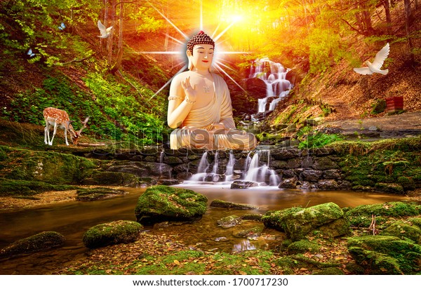 3d wall mural wallpaper, Buddha in forest with sunrise and waterfall
