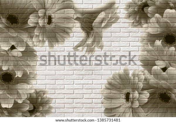3d wallpaper, gerberas on white brick texture. Murals effect.