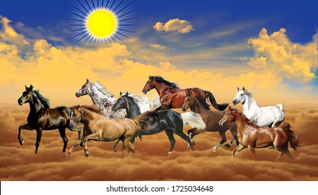 running horse wallpaper hd
