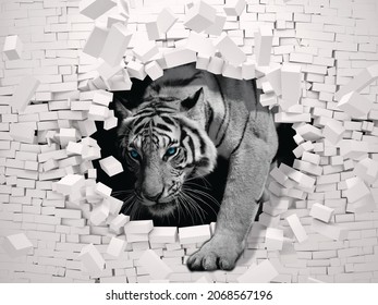 3D Wallpaper, Tiger, Mural, Wall