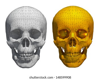 3d White and golden skull wireframe isolated on white
