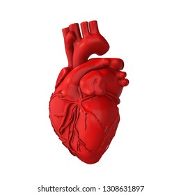 Human Heart 3d Illustration Isolated Contains Stock Illustration 226275724