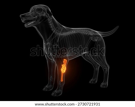 A 3D, x-ray render of a dog with osteosarcoma growing on it's left front leg glowing against a black background.