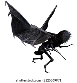 3d-illustration of a black isolated horror fantasy alien insect