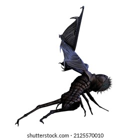 3d-illustration of a black isolated horror fantasy alien insect