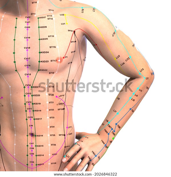 3dillustration Eastern Asian Acupuncture Acupressure Points Stock Illustration 2026846322