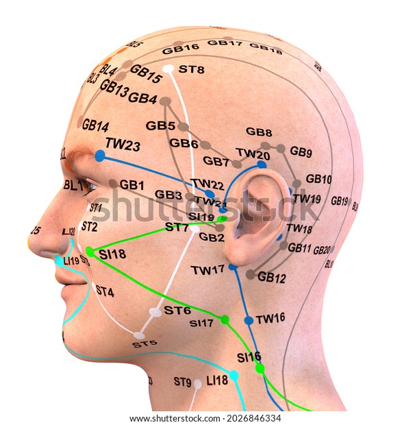 3dillustration Eastern Asian Acupuncture Acupressure Points Stock Illustration 2026846334 7679