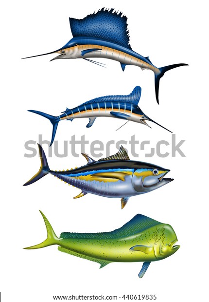 深海スポーツ魚4 メカジキ マーリン ツナ イルカの細かいアート 大胆な色と繊細なスポーツフィッシュ クリップと貼り付けが簡単 Tシャツのデザイン ウェブサイト パンフレットなどに最適です のイラスト素材