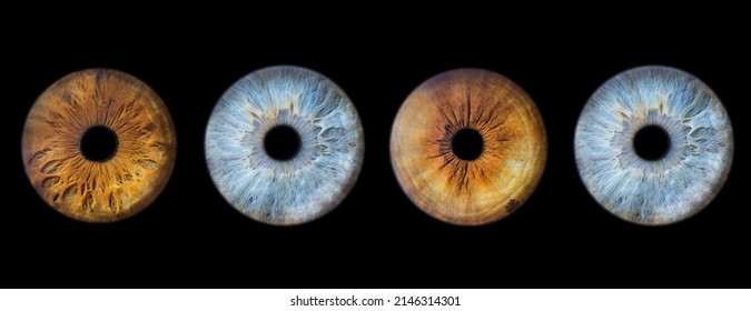4 human eye iris collection isolated on black background