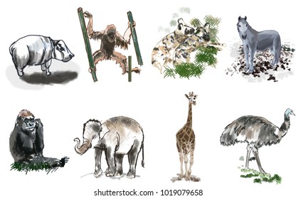 Kingdom Animalia Images, Stock Photos & Vectors | Shutterstock