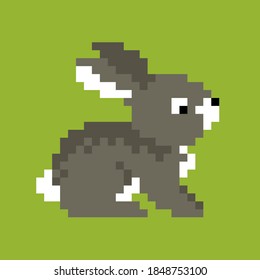 8 Bit Pixel Rabbit, Illustration