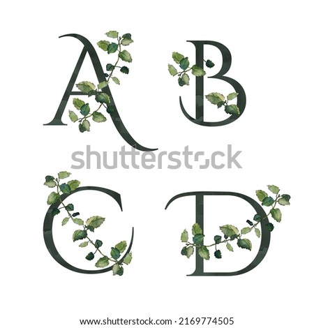 A, B, C, D initial letters; watercolor floral monograms with melissa twigs, isolated on white. Dark green serif alphabet. For wedding invitations and cards, special event and celebration materials