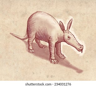 Aardvark