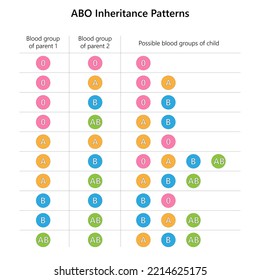 ABO Blood Group Inheritance Patterns.