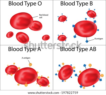 abo blood groups labeled diagram stock illustration 197822759 Blood Type Venn Diagram abo blood groups labeled diagram