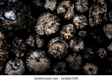 Abstract background design by dark pile of wooden. Round shaped element from wood pile. Cracked wood surface. Seamless pattern background. Blurred design for wallpaper.