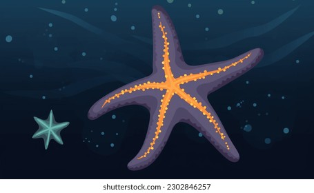 abstract background flat vector texture color minimalism starfish sea