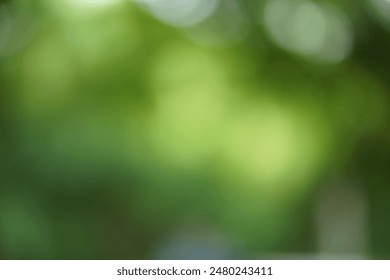 Abstract background image blur green bokeh