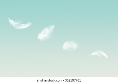 Abstract Background Image Of White Feathers Flying In Air.