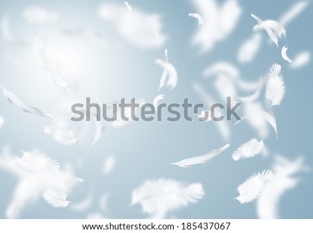 Similar – Image, Stock Photo The swan flies elegantly over me. I don’t know of any other bird that lets you know so clearly with its flapping wings: “Watch out, here I come! Get your camera ready!”