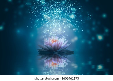 341,359 Lotus meditation Images, Stock Photos & Vectors | Shutterstock