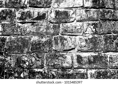 Abstract background. Monochrome texture. Image includes a effect the black and white tones.