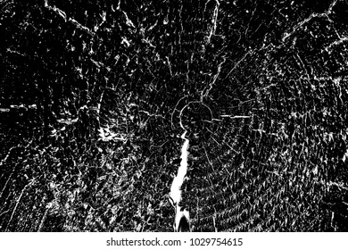Abstract background. Monochrome texture. Image includes a effect the black and white tones.
