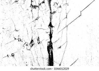 Abstract background. Monochrome texture. Image includes a effect the black and white tones.