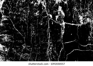 Abstract background. Monochrome texture. Image includes a effect the black and white tones.