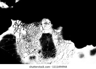 Abstract background. Monochrome texture. Image includes a effect the black and white tones.
