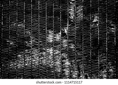 Abstract background. Monochrome texture. Image includes a effect the black and white tones.