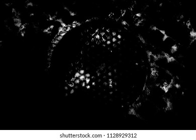 Abstract background. Monochrome texture. Image includes a effect the black and white tones.