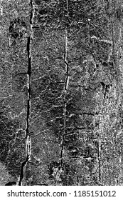 Abstract background. Monochrome texture. Image includes a effect the black and white tones.