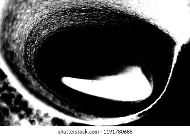 Abstract background. Monochrome texture. Image includes a effect the black and white tones.
