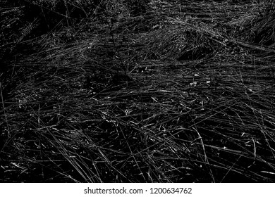 Abstract background. Monochrome texture. Image includes a effect the black and white tones.