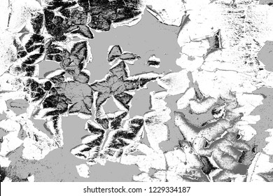 Abstract background. Monochrome texture. Image includes a effect the black and white tones.