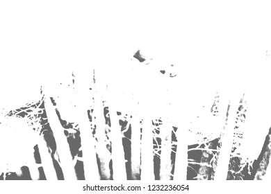 Abstract background. Monochrome texture. Image includes a effect the black and white tones.