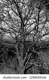 Abstract background. Monochrome texture. Image includes a effect the black and white tones.