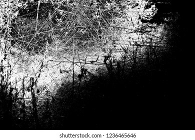 Abstract background. Monochrome texture. Image includes a effect the black and white tones.