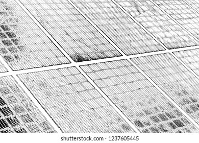 Abstract background. Monochrome texture. Image includes a effect the black and white tones.