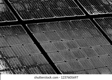 Abstract background. Monochrome texture. Image includes a effect the black and white tones.