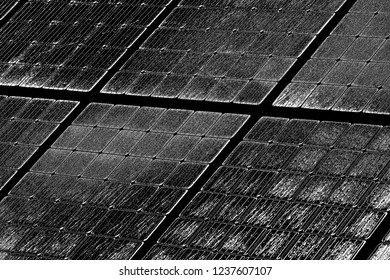 Abstract background. Monochrome texture. Image includes a effect the black and white tones.