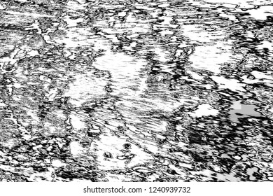 Abstract background. Monochrome texture. Image includes a effect the black and white tones.