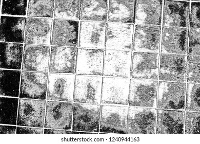 Abstract background. Monochrome texture. Image includes a effect the black and white tones.